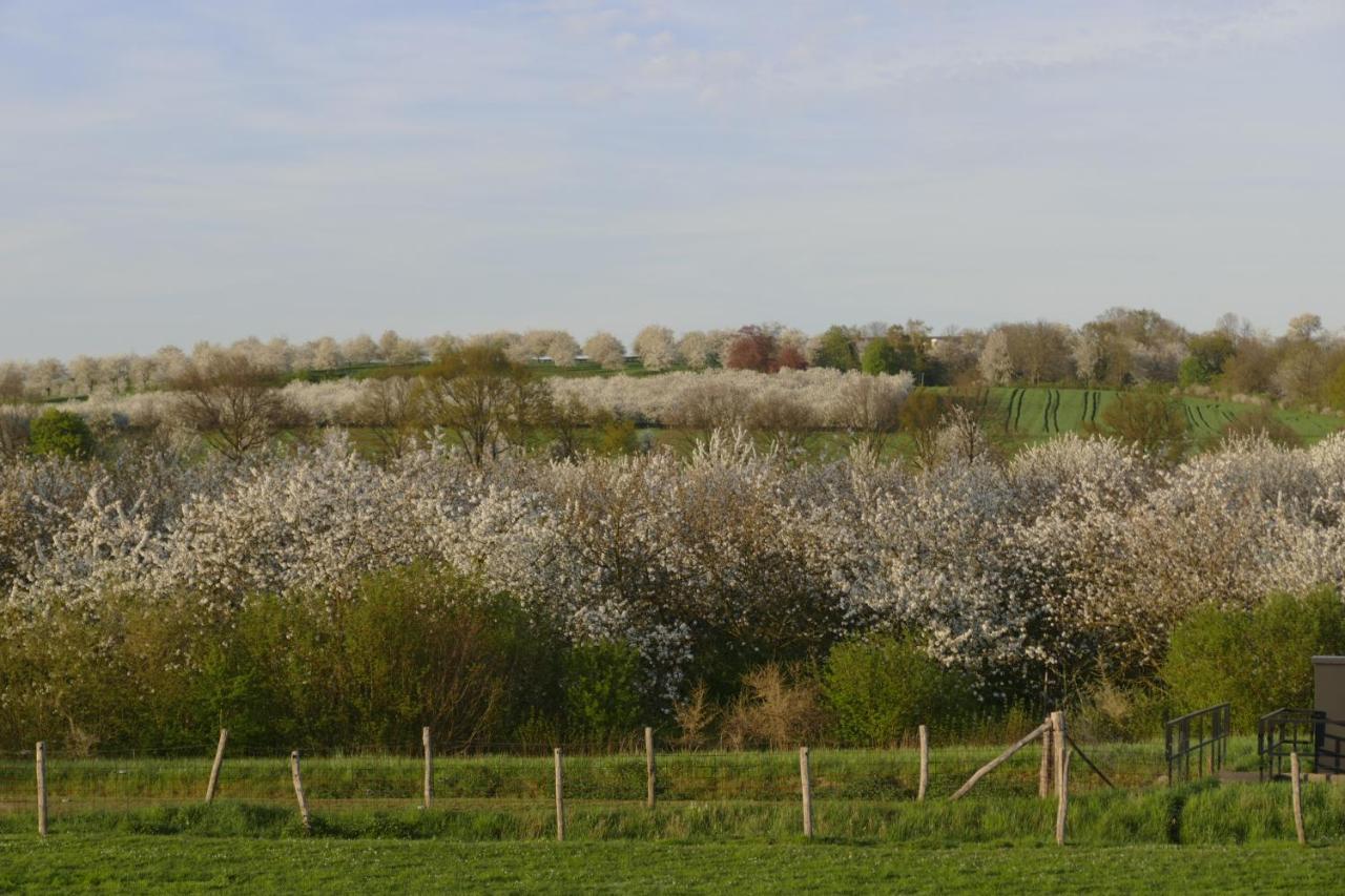 Meschermolen 2 Eijsden Eksteriør bilde